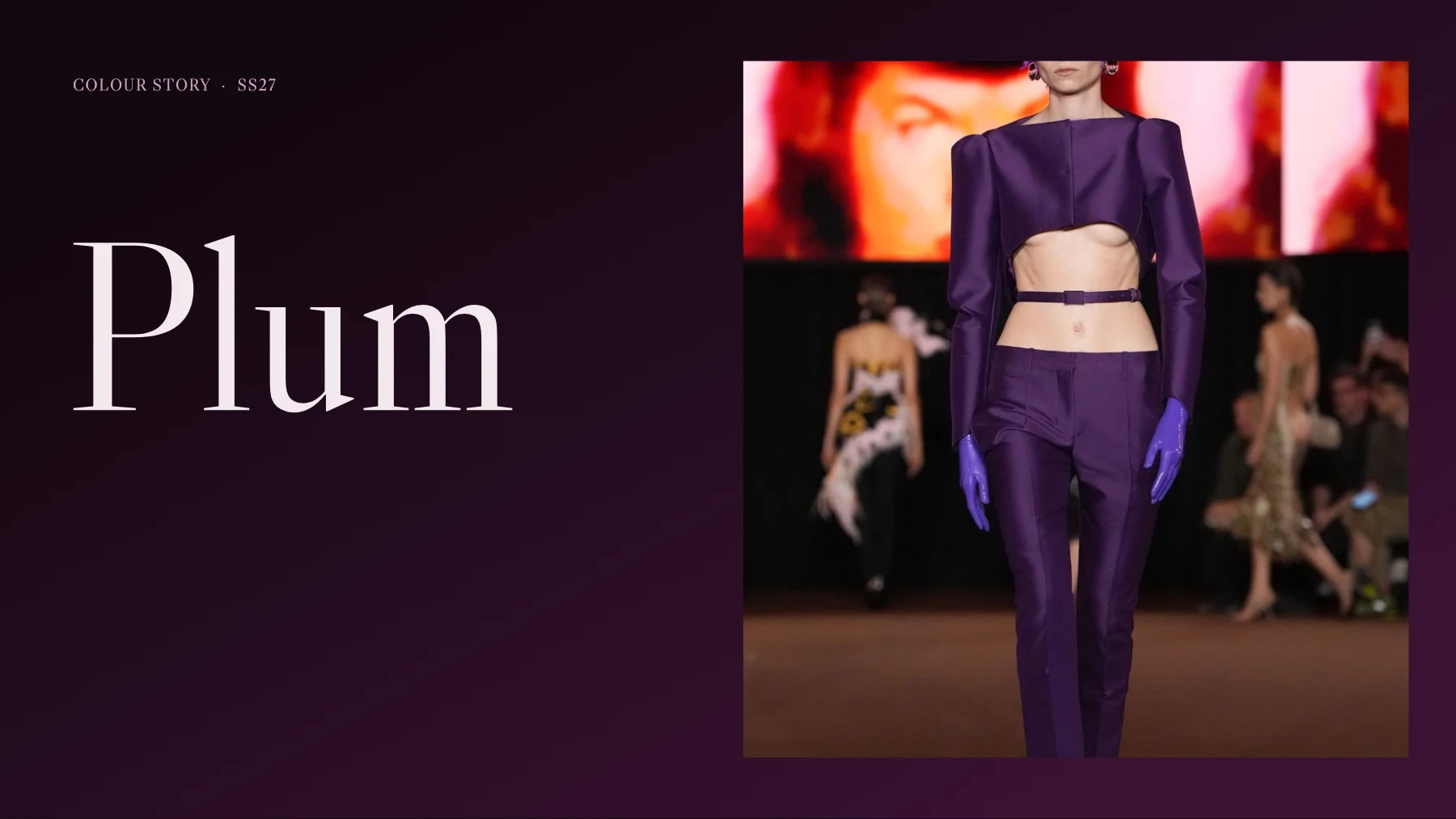 Plum Noir · SS27 Color Story, page 1